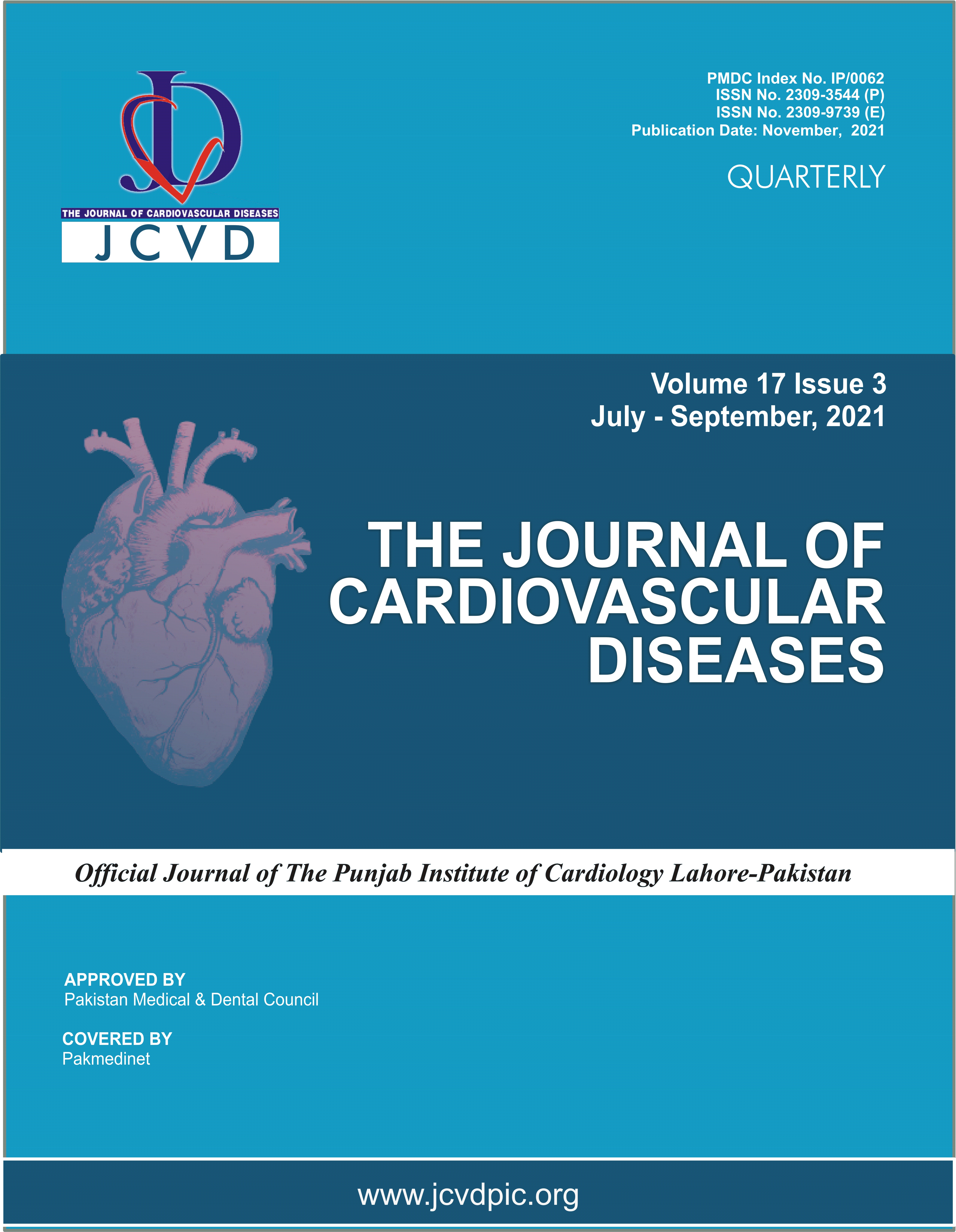 					View Volume 17 Issue 3, 2021
				